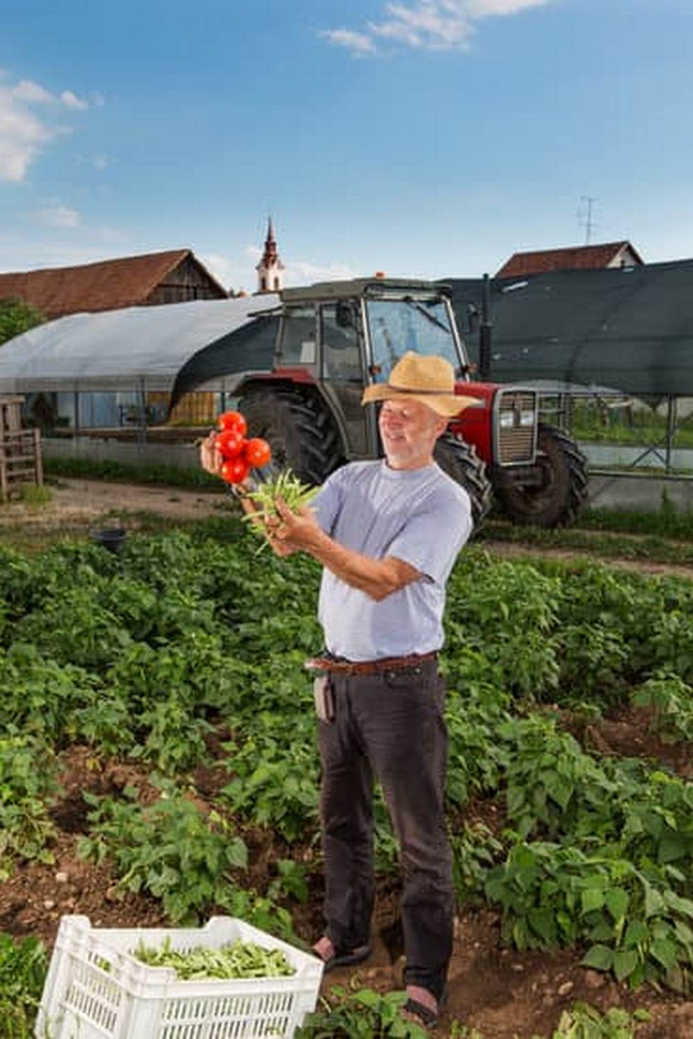lettuce, kale, spinach, radishes, and broccoli