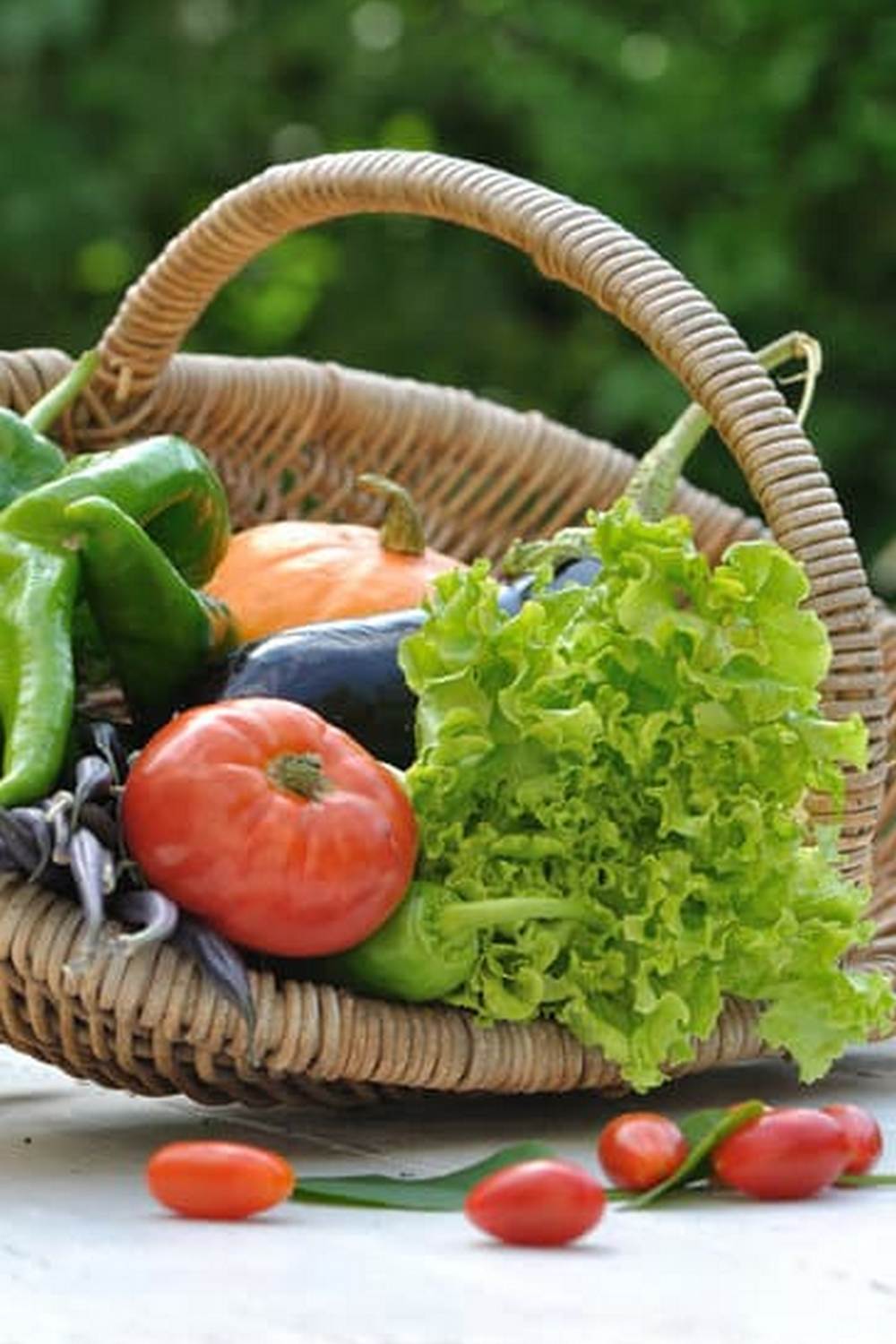 - Lush variety of European backyard vegetable gardens blooming with vibrant colors