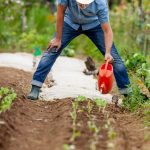 improved soil quality and moisture retention