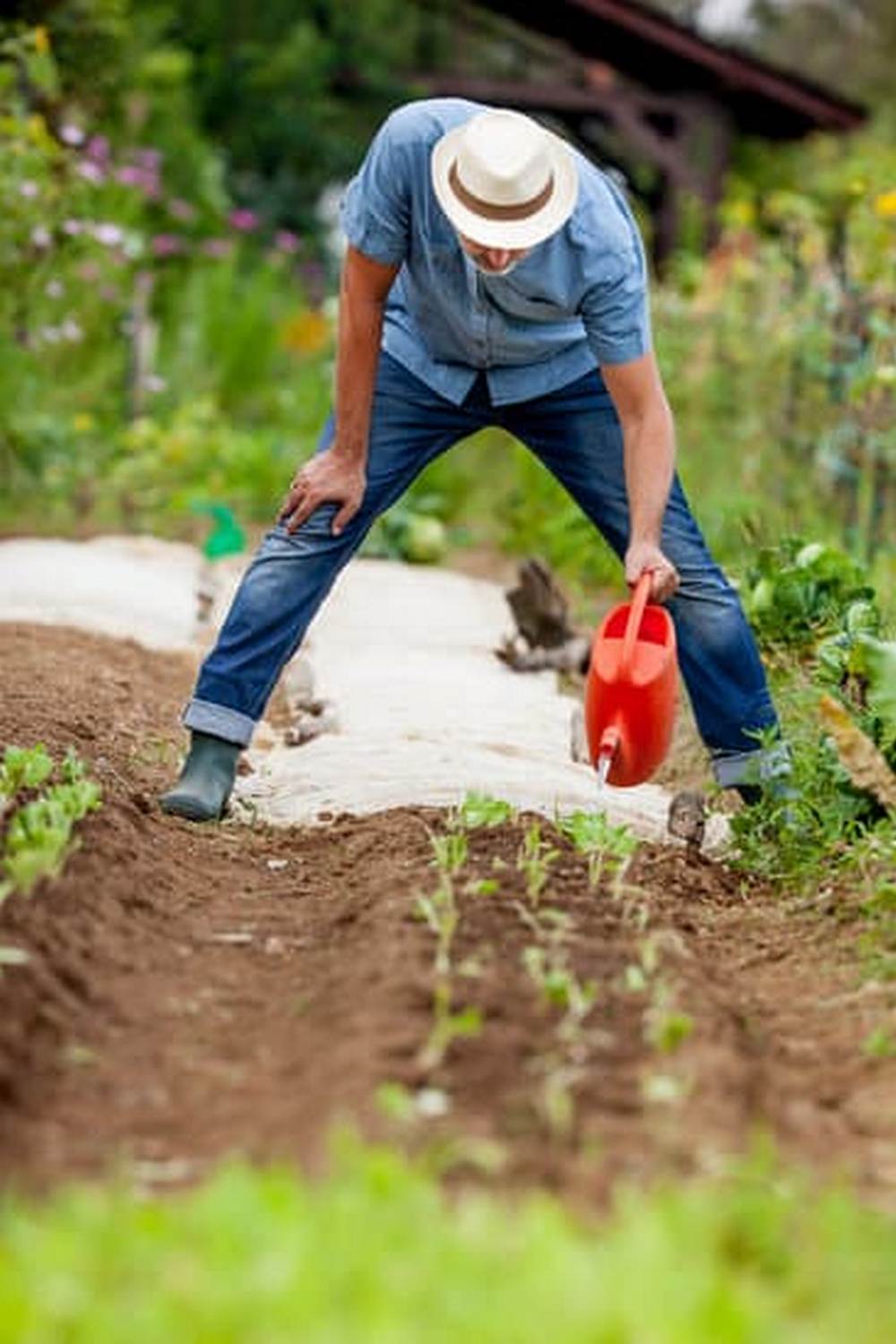 improved soil quality and moisture retention