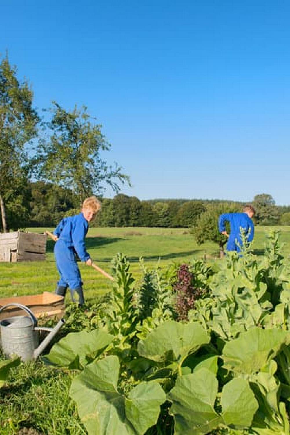 A Space-Saving Solution for Urban Living