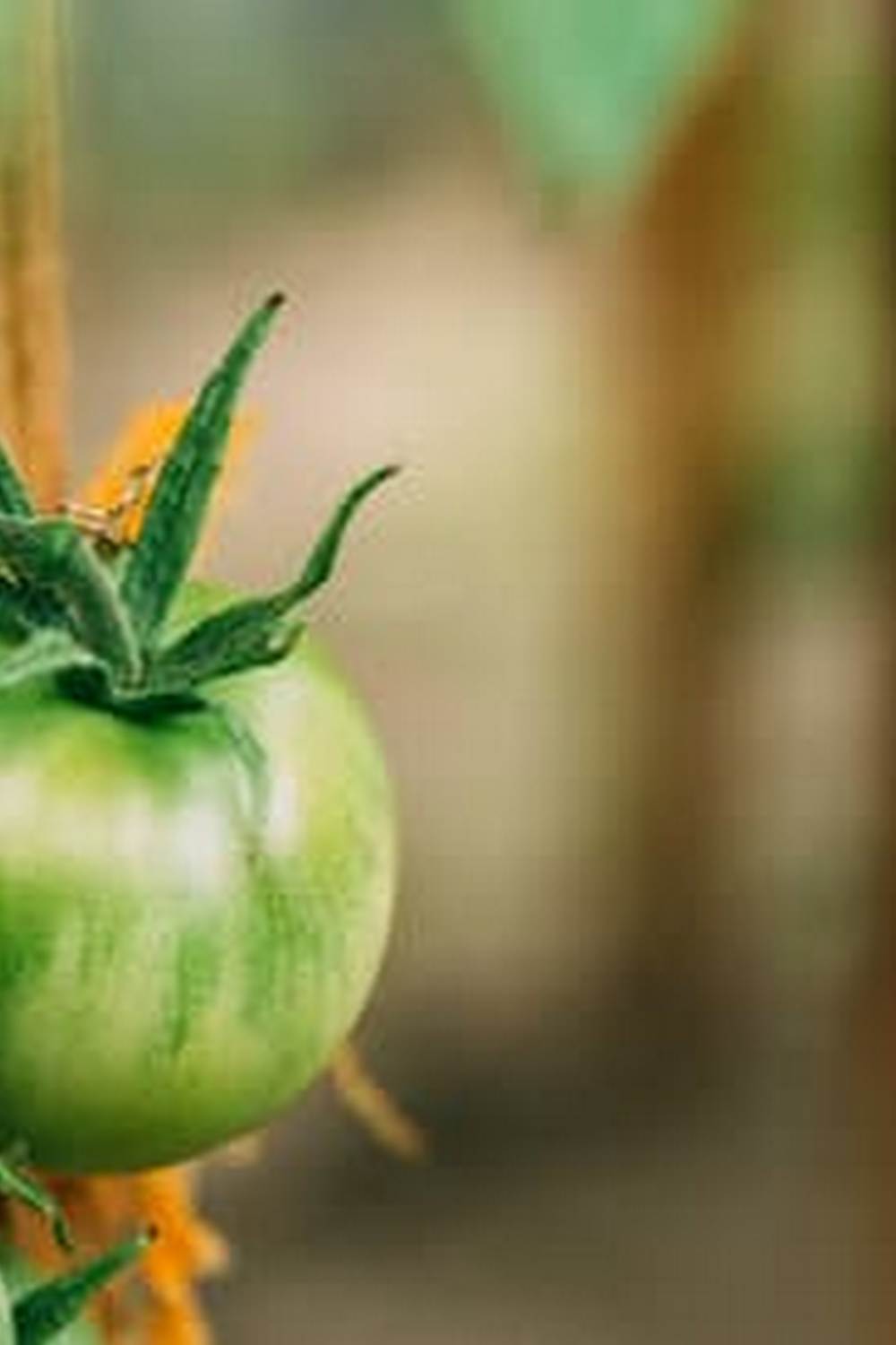 Nutrient-rich top soil for vegetable gardening available in Crivitz, WI - optimal choice for healthy crops