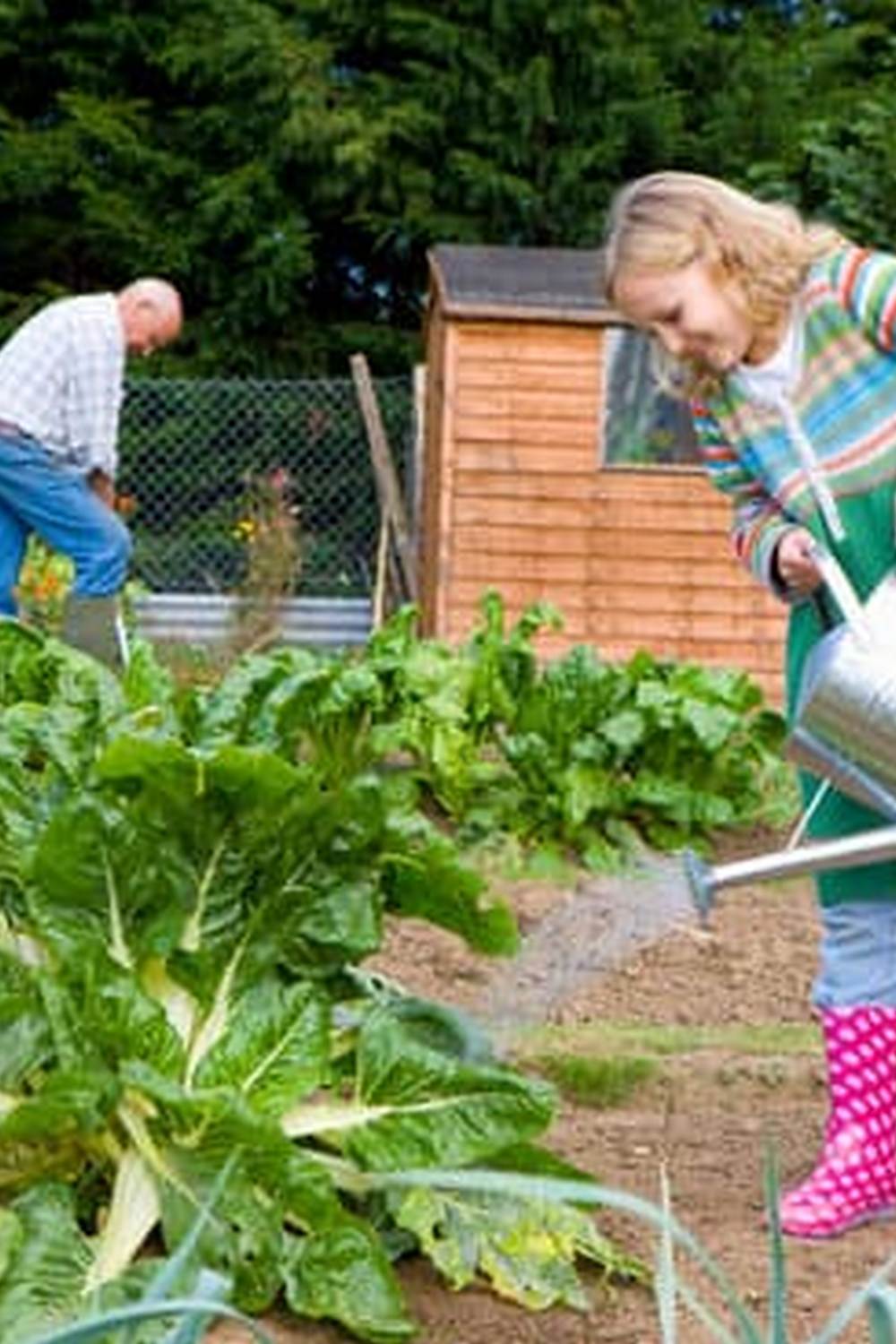 Master Gardener tips for maximizing small vegetable garden space