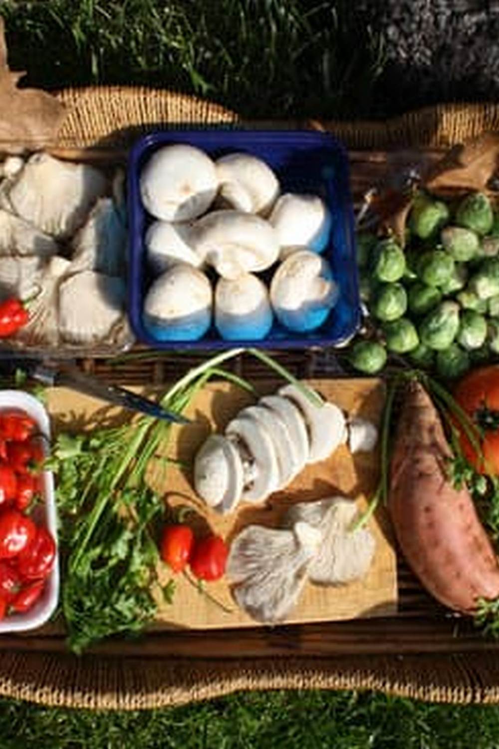 Consider using cedar mulch for weed control and moisture retention in your vegetable gardens