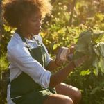 Most Popular Vegetable Among Americans is Tomatoes - Fun Facts for Green Thumbs