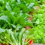 Preen Safe for Vegetable Gardens Trusted organic pest control for healthy crops