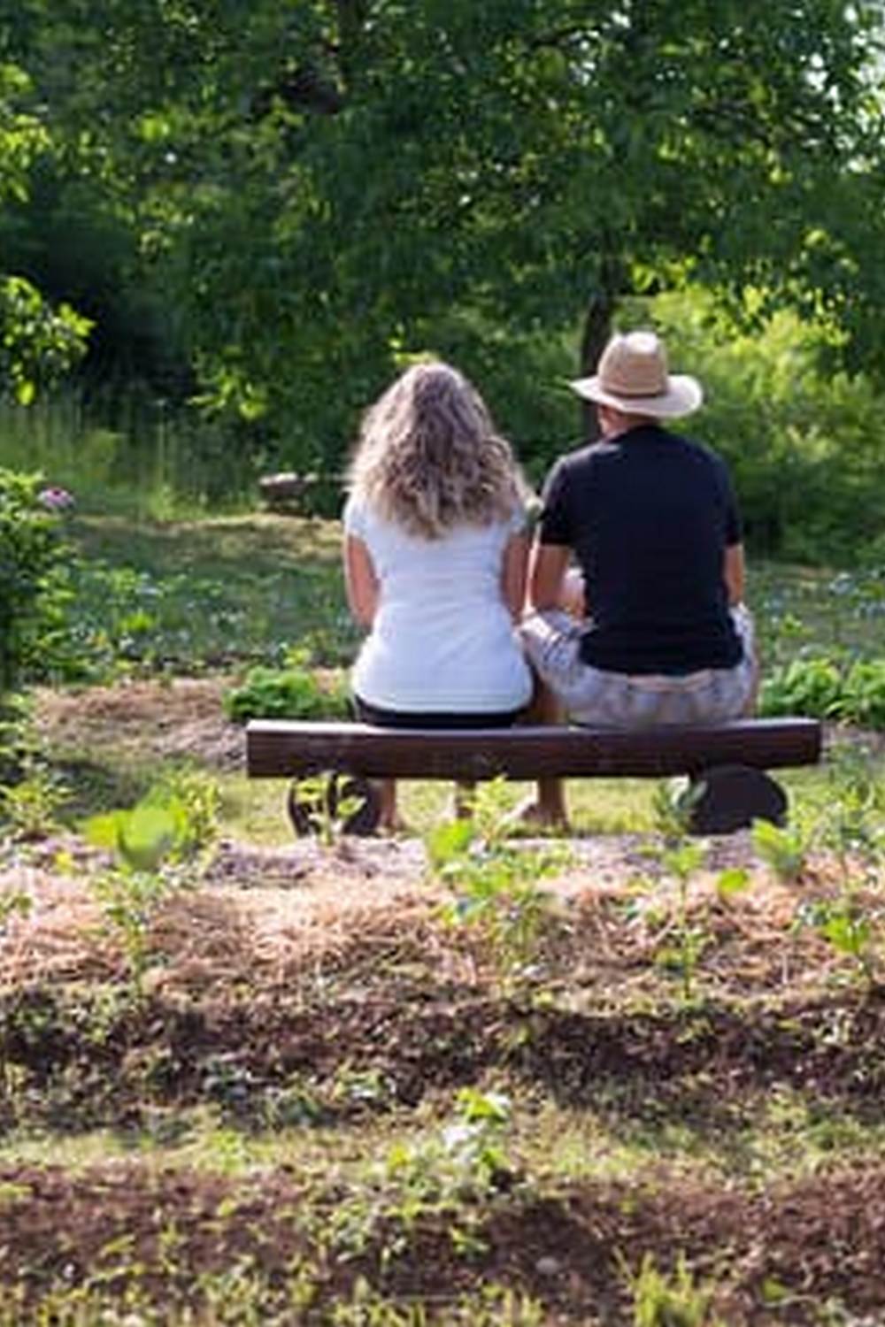 Vibrant mature vegetable garden photos showcasing a variety of colorful produce
