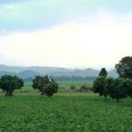 sustainable, efficient, and bountiful harvests for your home garden