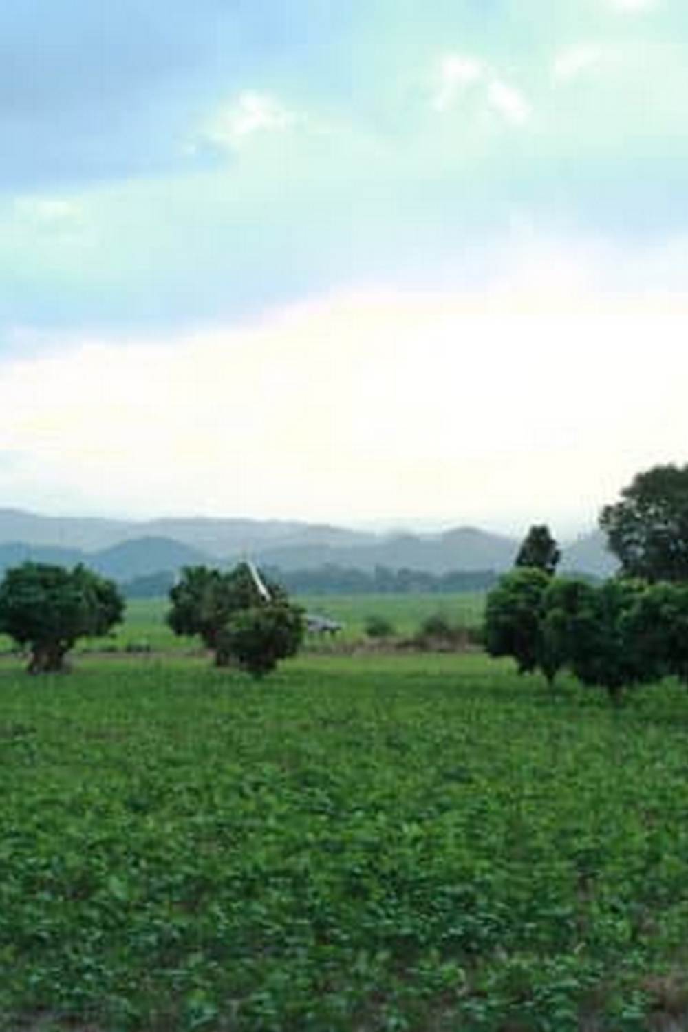 sustainable, efficient, and bountiful harvests for your home garden