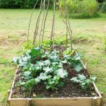 Maximize yield with high-yield vegetable gardening techniques for abundant harvests