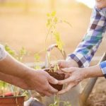 Tips, Tools, and Techniques for Success