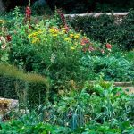 A beginner's guide to indoor gardening