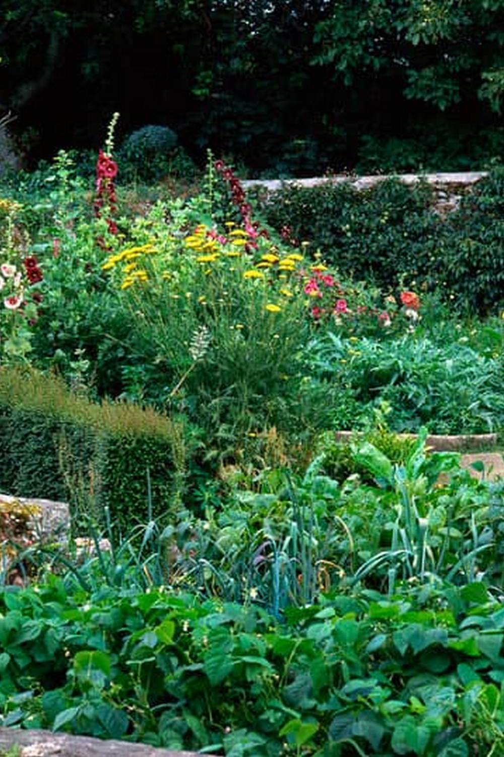 A beginner's guide to indoor gardening