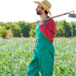 A comprehensive guide to mastering vegetable gardening