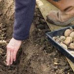 Better Homes and Gardens Chicken and Vegetable Soup Recipe hearty and comforting homemade soup bursting with fresh flavors
