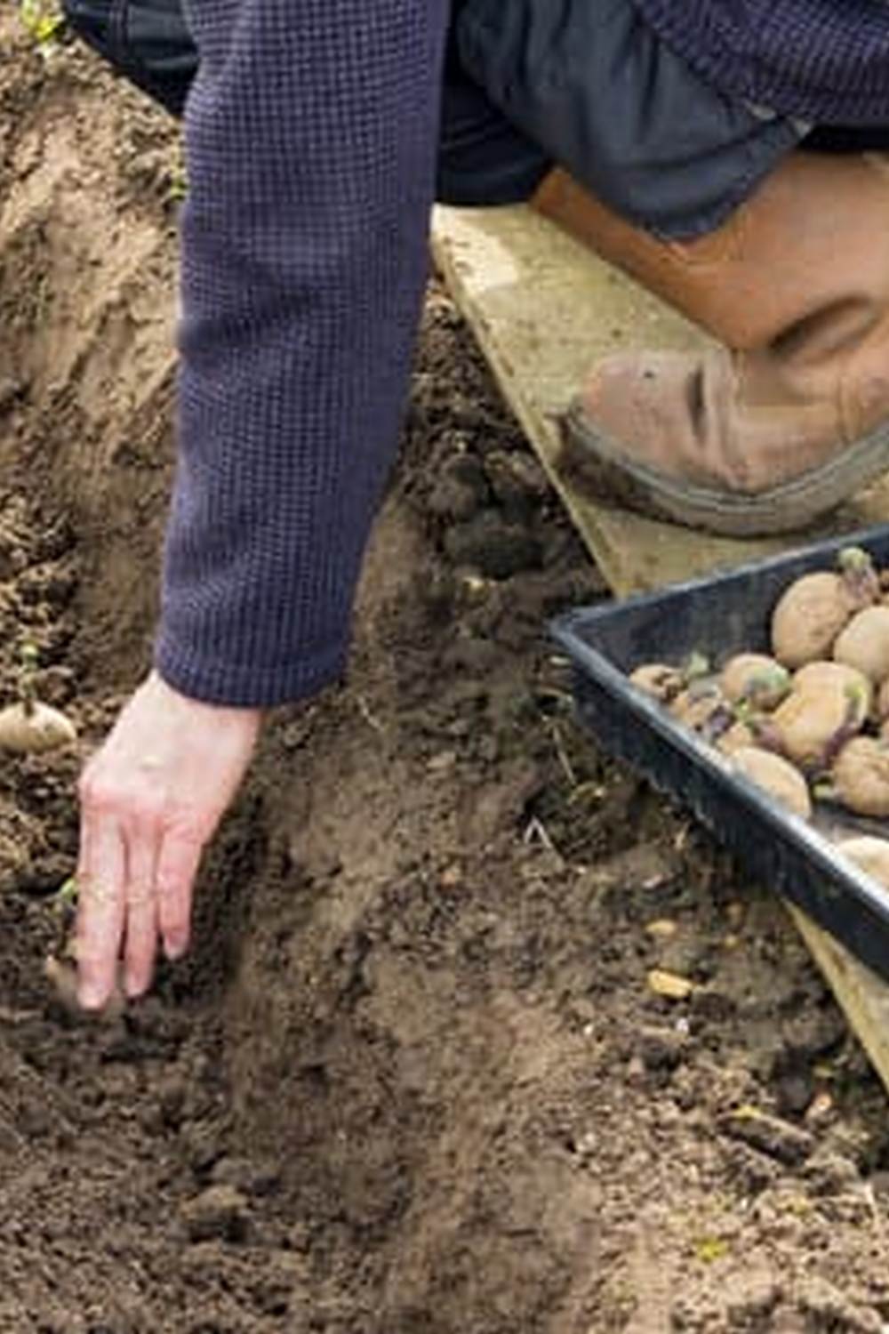 Better Homes and Gardens Chicken and Vegetable Soup Recipe 1 hearty and comforting homemade soup bursting with fresh flavors