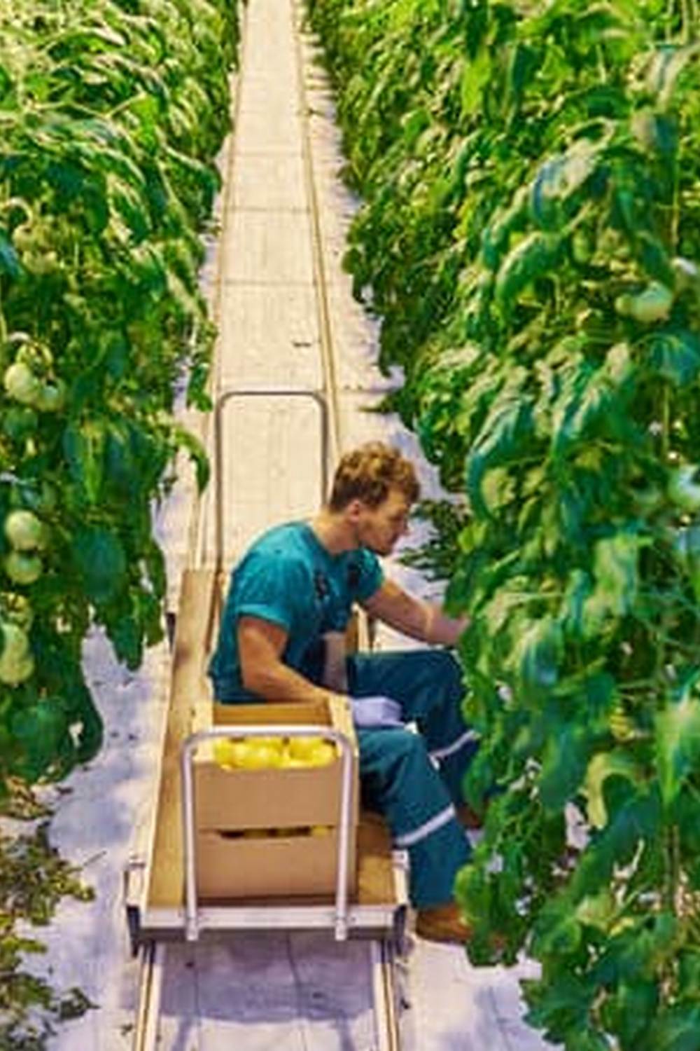 Tips, Techniques, and Troubleshooting Advice