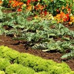 Easy Vegetables to Grow for First Time Gardeners Easy Vegetables to Grow for First Time Gardeners - Start with tomatoes, lettuce, and zucchini