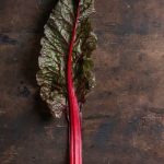 Thriving container vegetable garden in India with diverse crops for urban settings