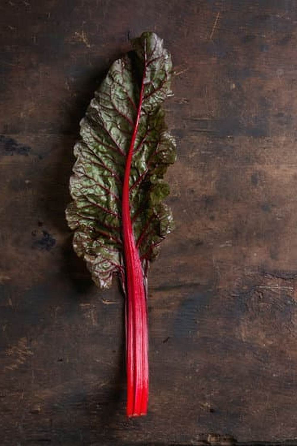 Thriving container vegetable garden in India with diverse crops for urban settings