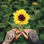 Gardening vegetables that grow well together for optimal yields and health