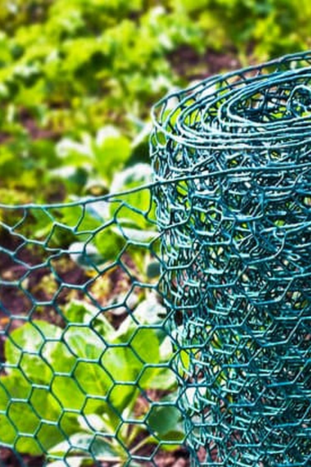 Explore Penn State vegetable gardening tips online for successful harvests and healthy plants