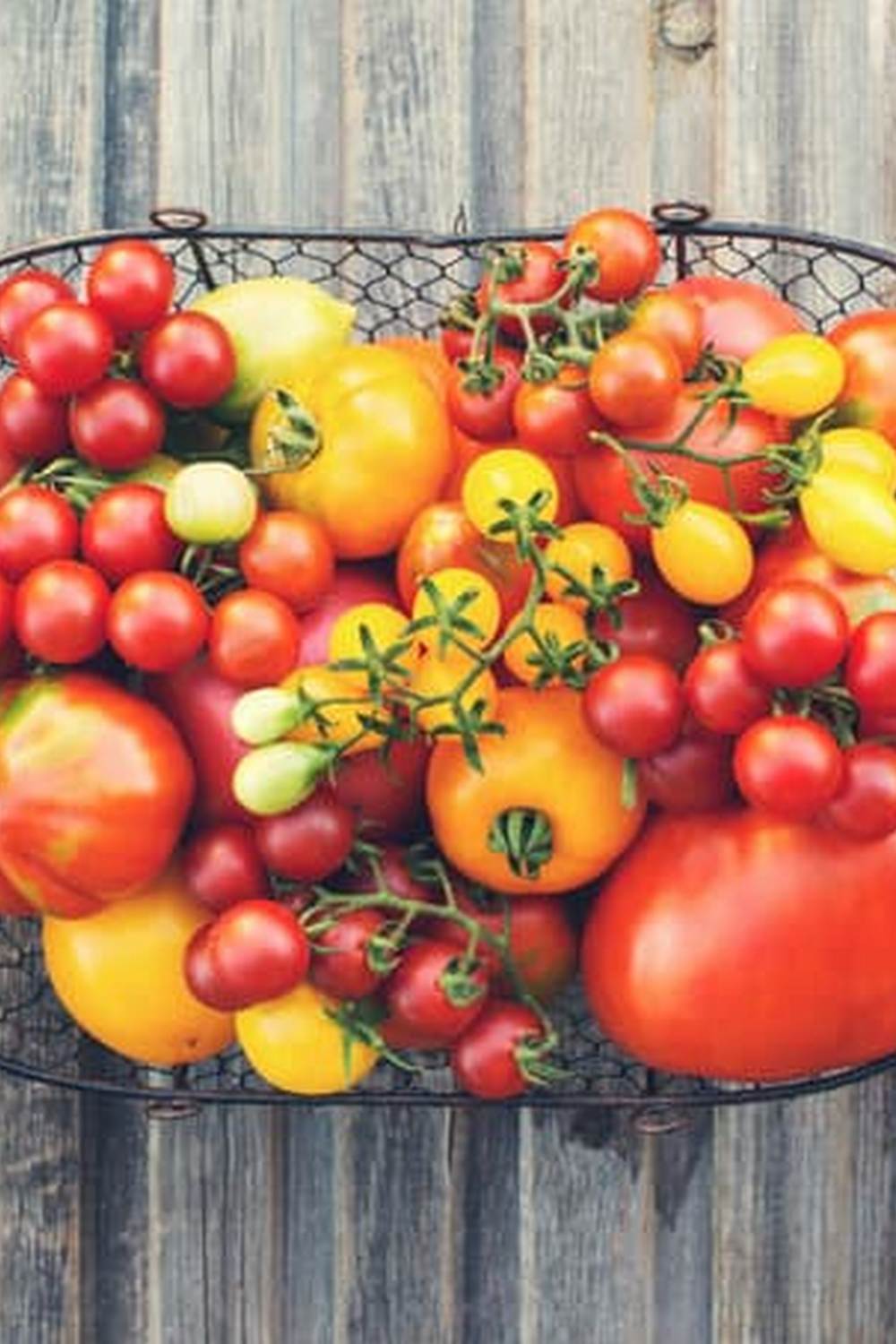 organic straw mulch retains moisture and suppresses weeds effectively