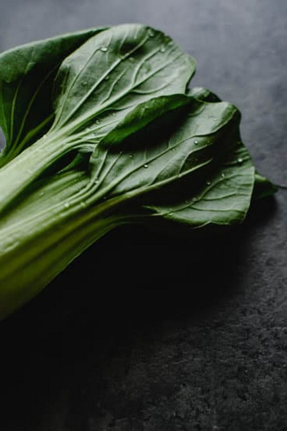 Vibrant vegetables growing in cute garden plots, perfect for landscaping inspiration