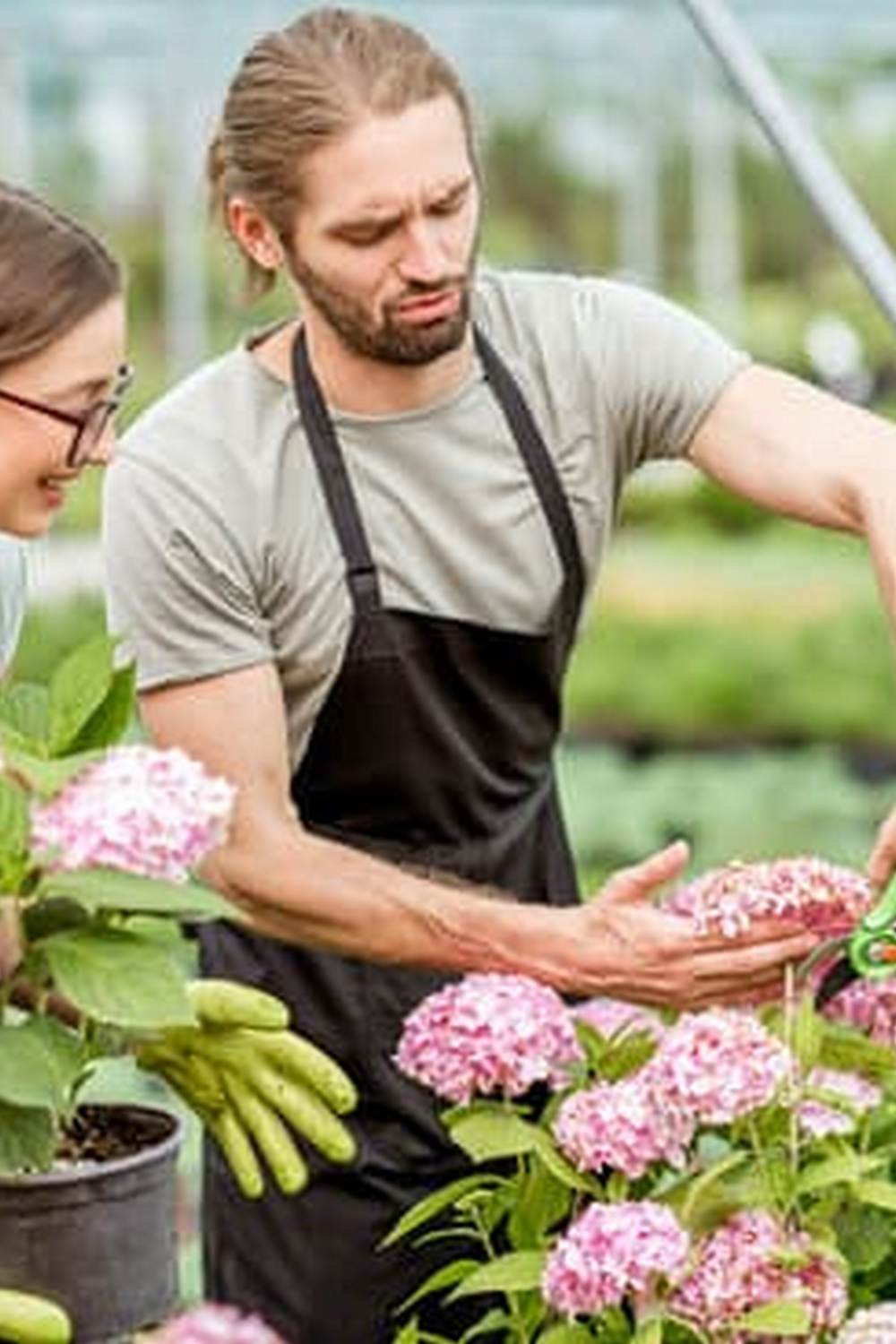 Lush Big Vegetable Gardens filled with thriving crops and vibrant plants
