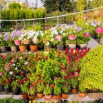 Interactive vegetable gardens for children to learn and grow