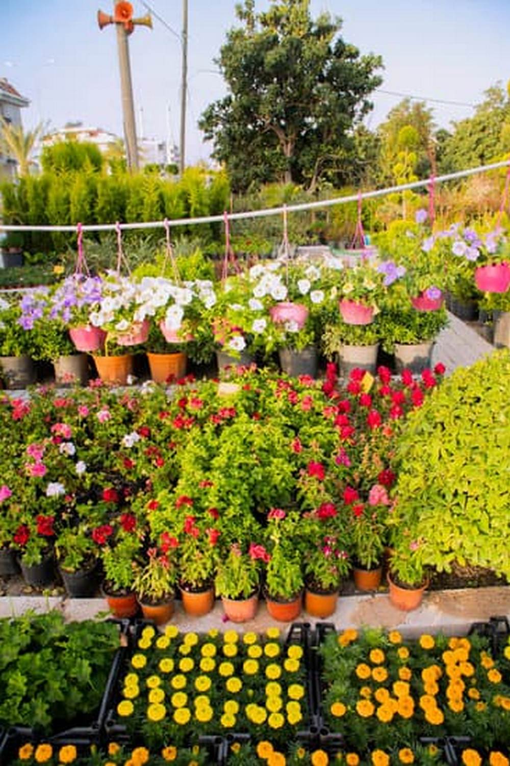 Interactive vegetable gardens for children to learn and grow