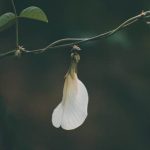 practical tips for beginners