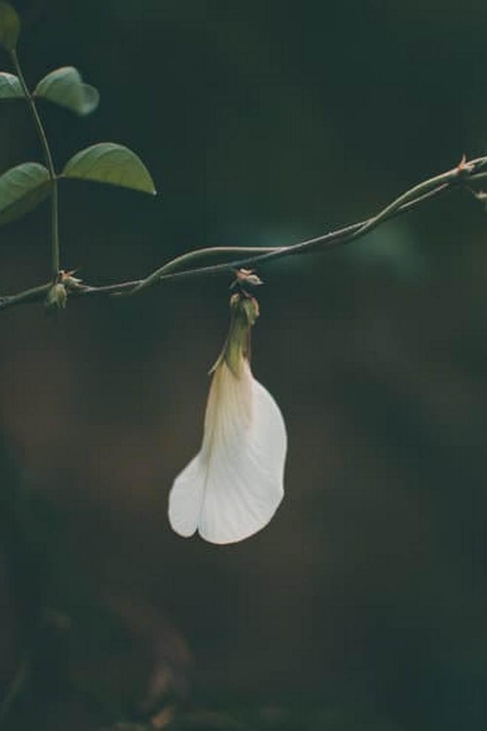 practical tips for beginners