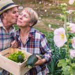 Optimal plans for raised bed vegetable gardens layouts to maximize space and yield