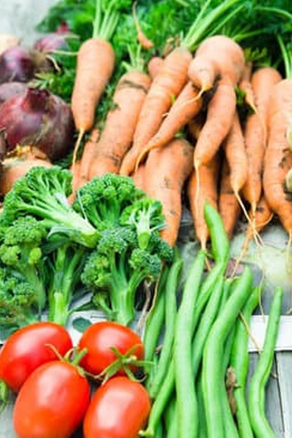 Lush and thriving vegetable garden in Zone 5A, perfect for vegetable gardening enthusiasts