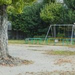 Local, sustainable, and delicious harvests all year round