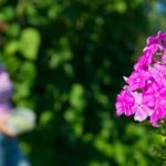 Non-toxic landscape fabric safe for vegetable gardens