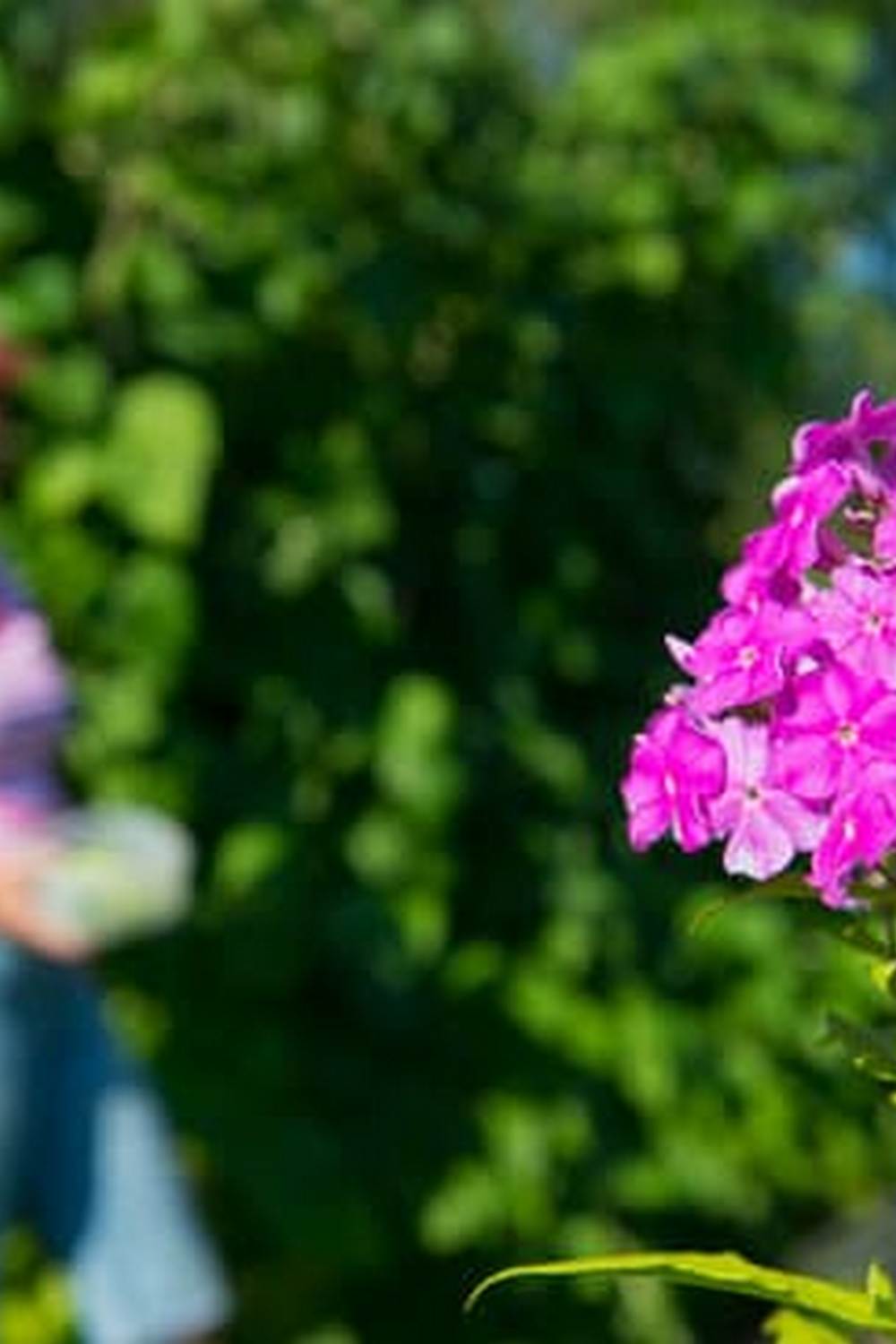 Non-toxic landscape fabric safe for vegetable gardens