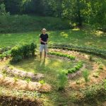 Tips for successful vegetable gardening in Southwest Florida - best practices, climate considerations, plant selection