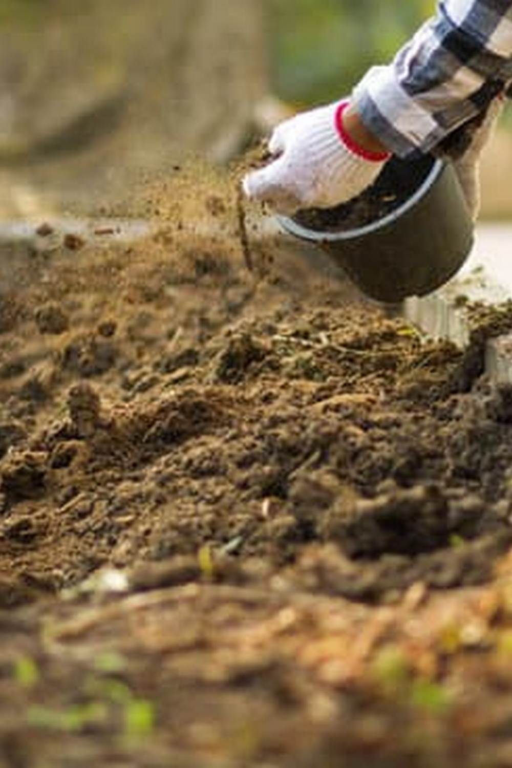 High-quality pressure treated lumber for vegetable gardens like the CORNEL model