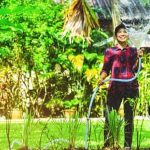 Mushroom soil boosts vegetable gardens. Try it for healthy, thriving plants