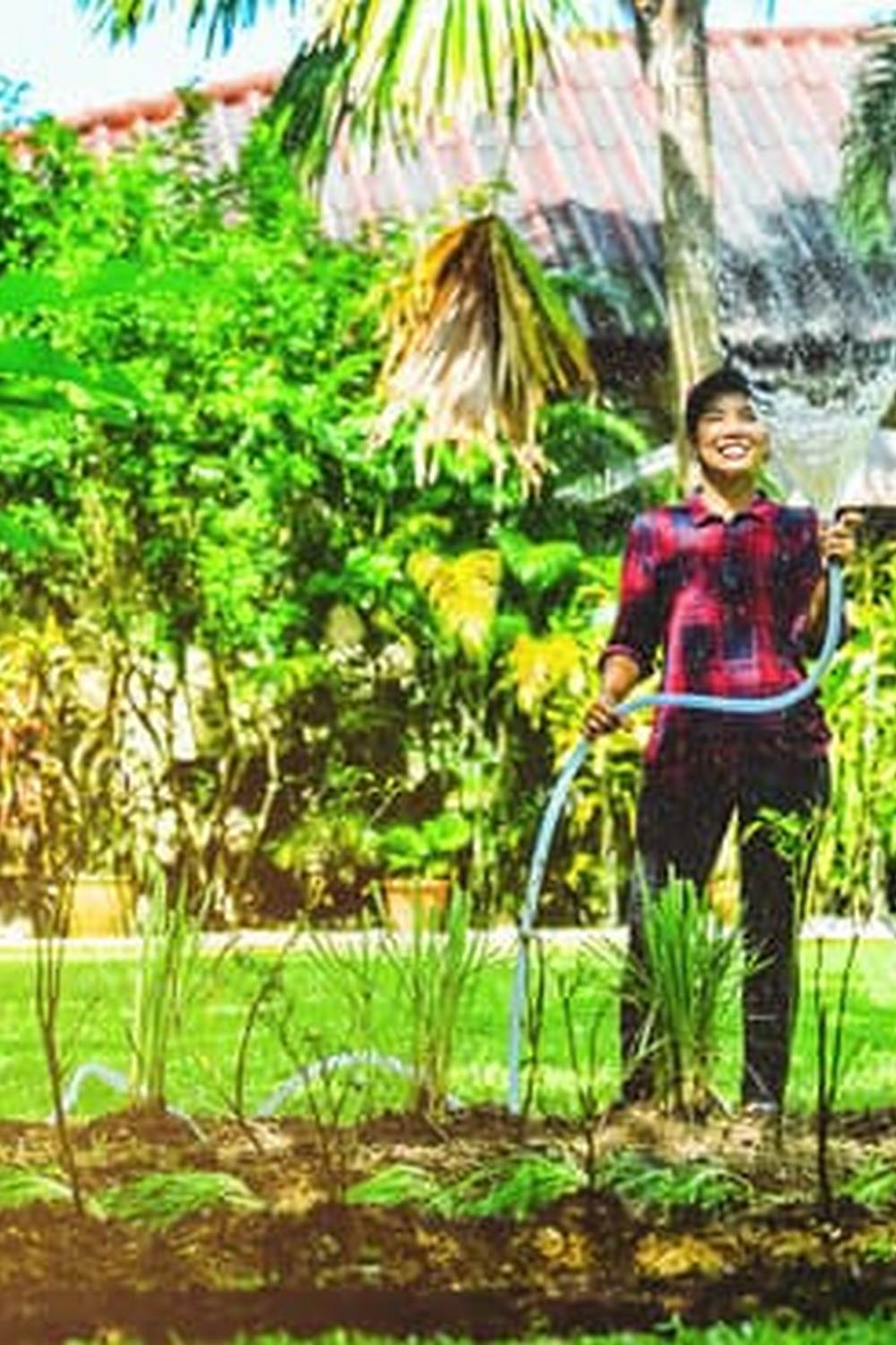 Mushroom soil boosts vegetable gardens. Try it for healthy, thriving plants