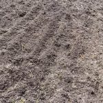 benefits, precautions, and tips