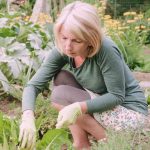 Explore innovative small vegetable garden ideas on Pinterest for inspiration