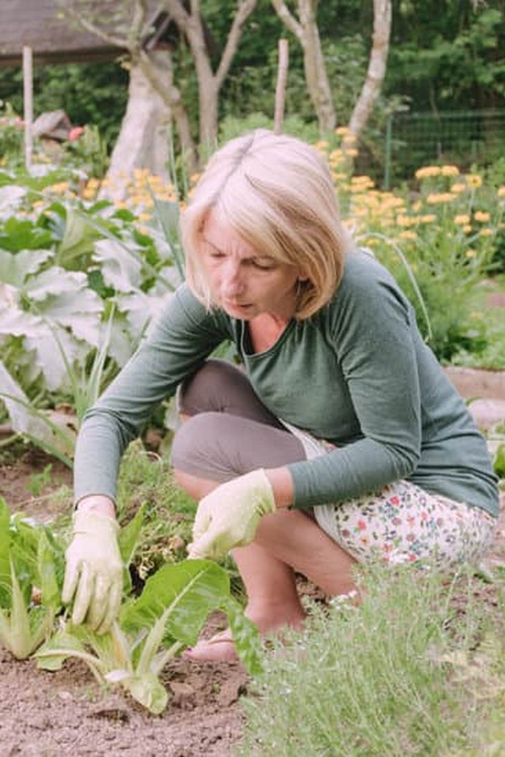 Explore innovative small vegetable garden ideas on Pinterest for inspiration