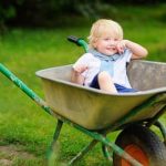 Discover easy tips for successful Vegetable Gardening Made Simple