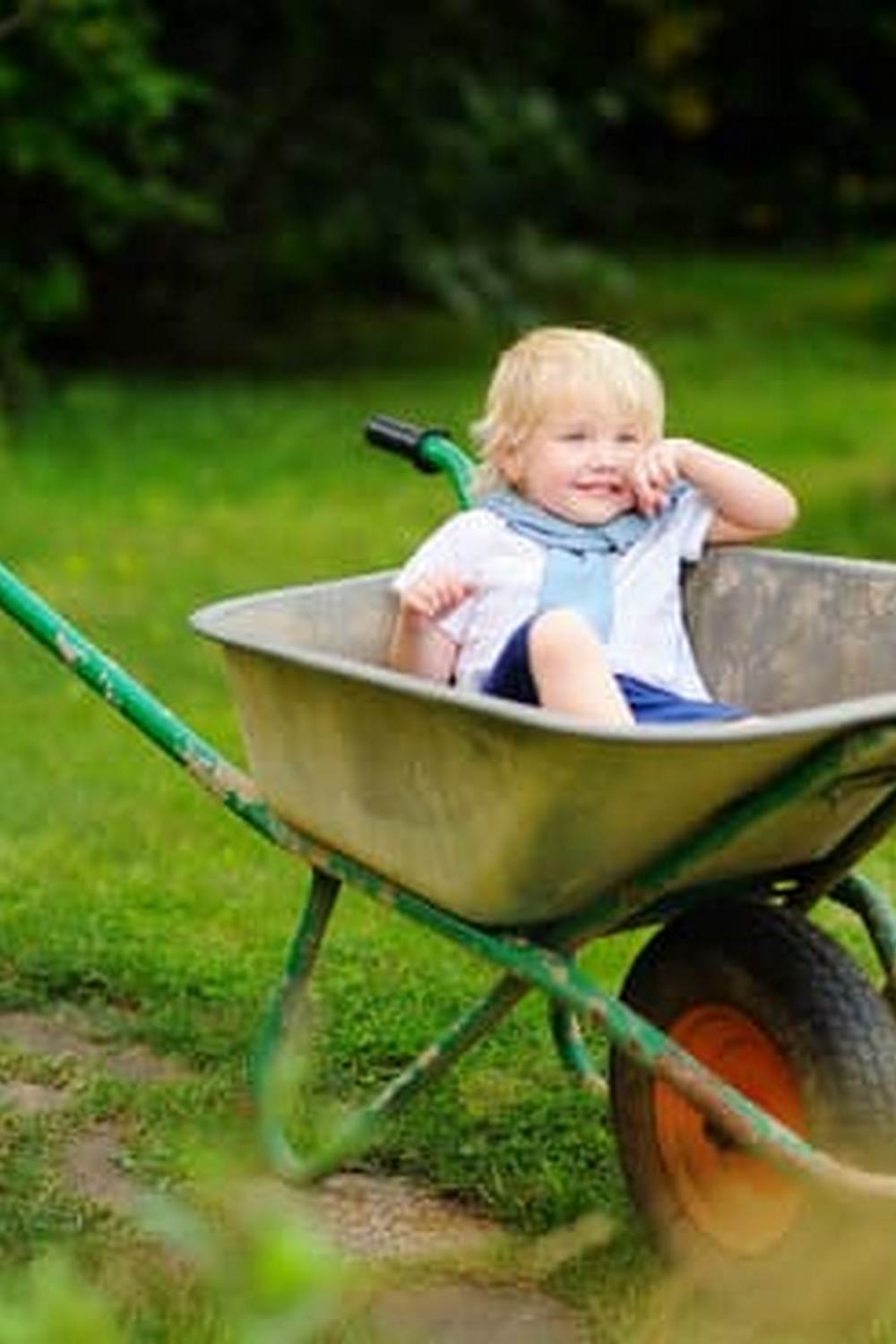 Discover easy tips for successful Vegetable Gardening Made Simple