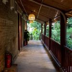 Explore Rolfs' guide for subtropical vegetable gardening tips from the expert Peter Henry Rolfs