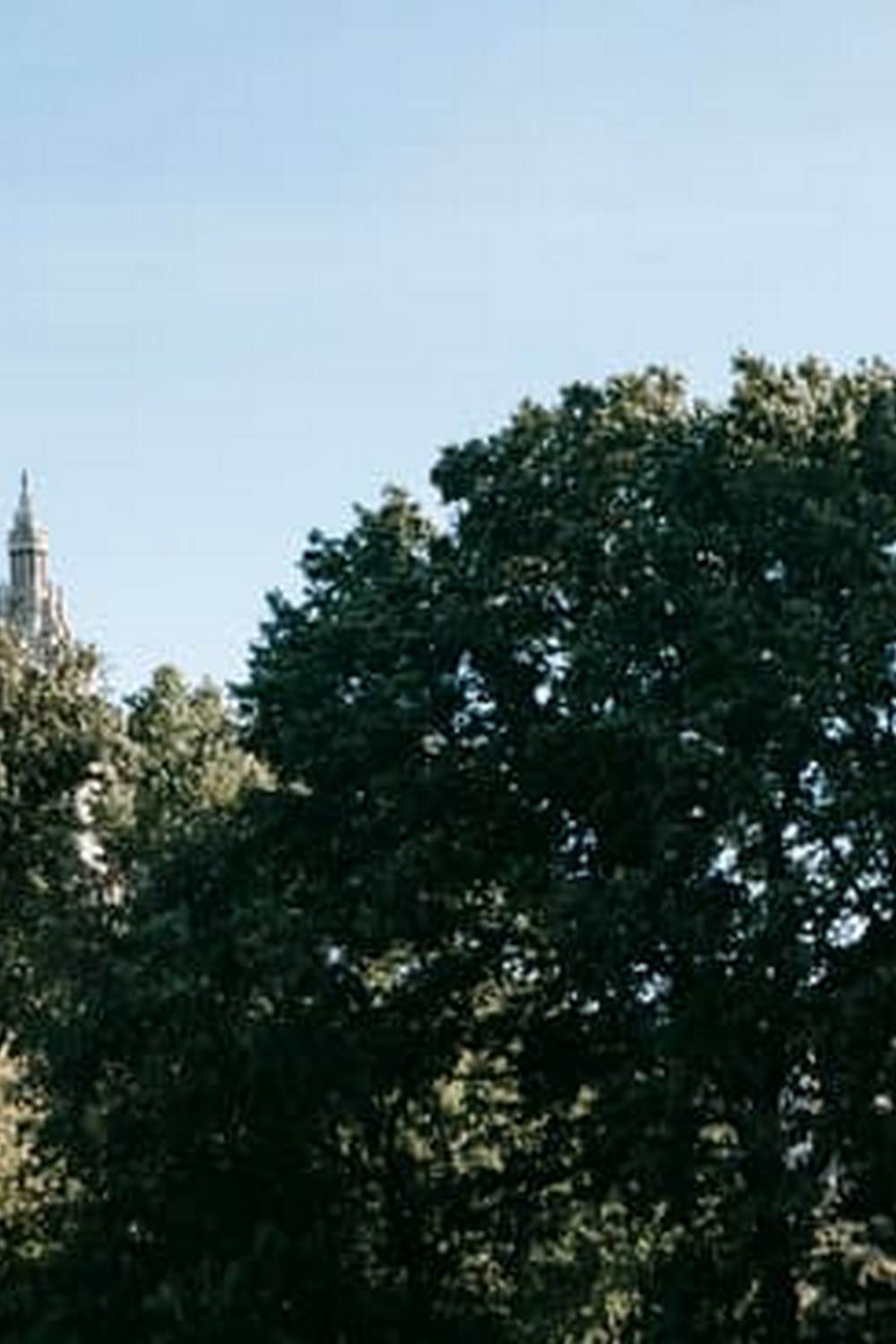 Explore VILLANDRY VEGETABLE GARDENS - vibrant colors of meticulously designed produce beds