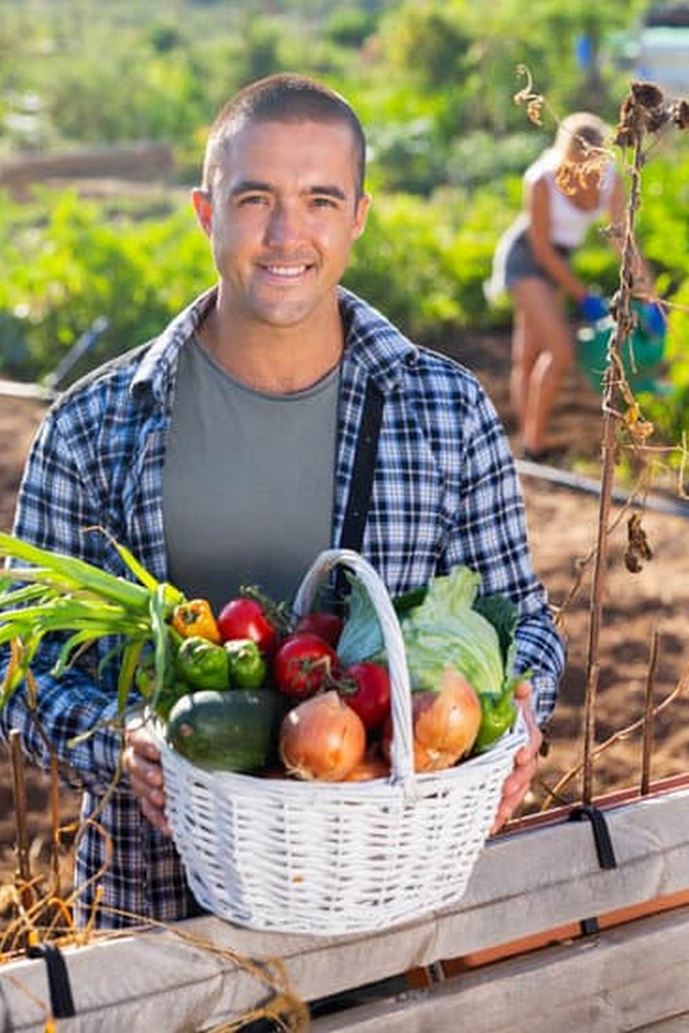 Effective Castor Oil Squirrel Repellent for Vegetable Gardens